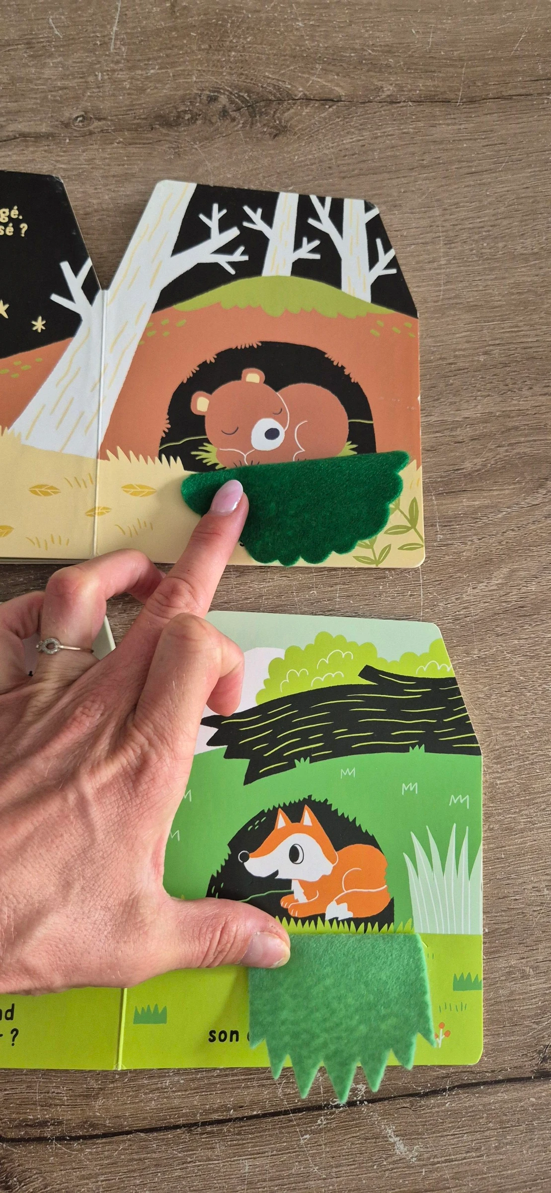 Lot de livros Cache-cache em feltro – photo 12